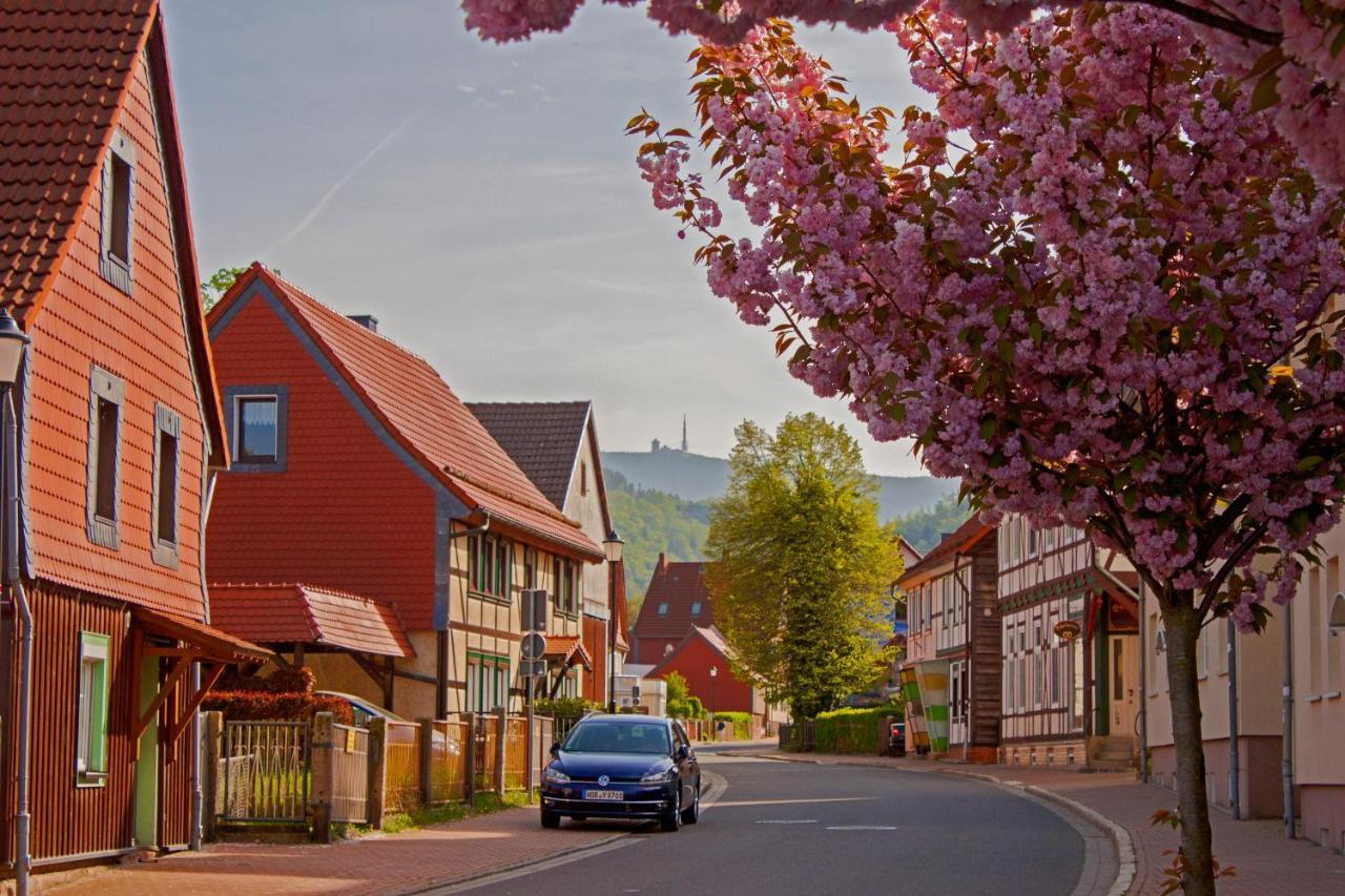 Haus Ilsegarten Ilsenburg Bagian luar foto